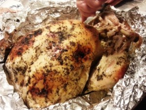 Carol's handsome turkey, 