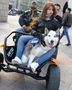 Security patrol