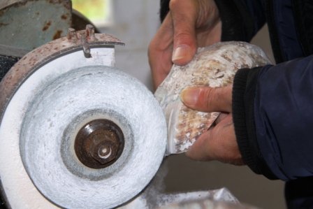 Mother of pearl in the making