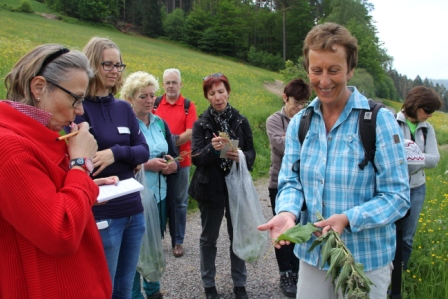 Hikers learn about wild herbs