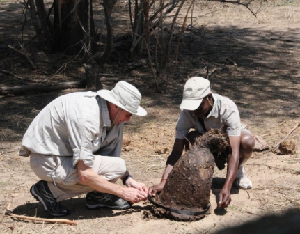 TJ helps Victor measure the "most amazing elephant poop."