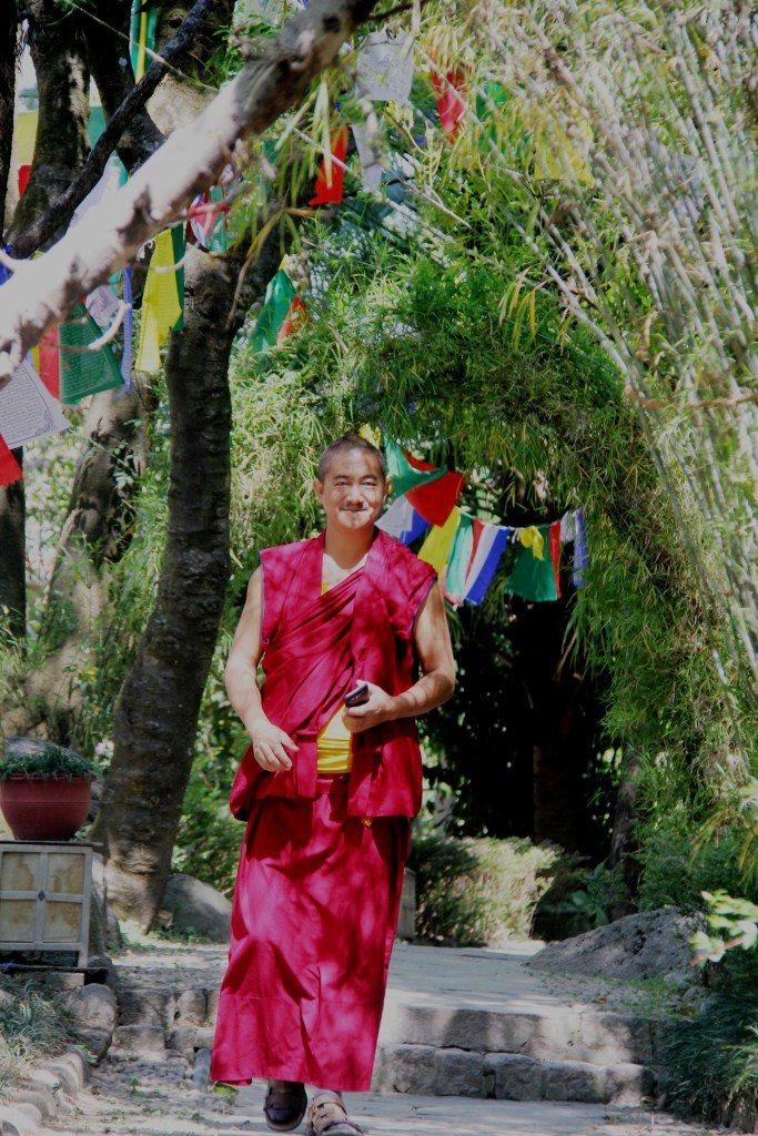 Monk at Norbulingka Institute