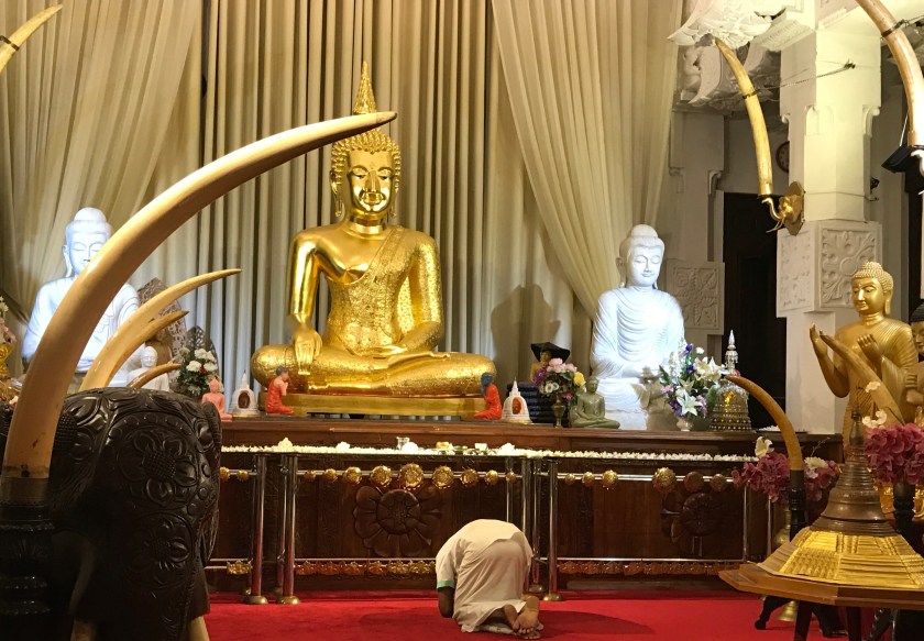 ad,sr,maldives.fone 218