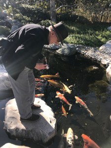 PFZfUgbsSI29iZgMpO3x4w