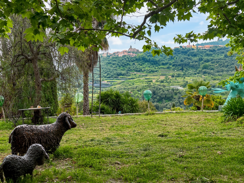 Enhance lighting, sharpness, and natural color balance